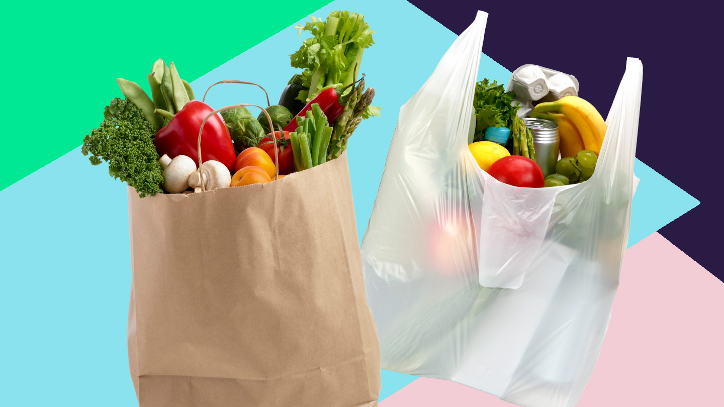 image of groceries in a plastic bag and paper bag
