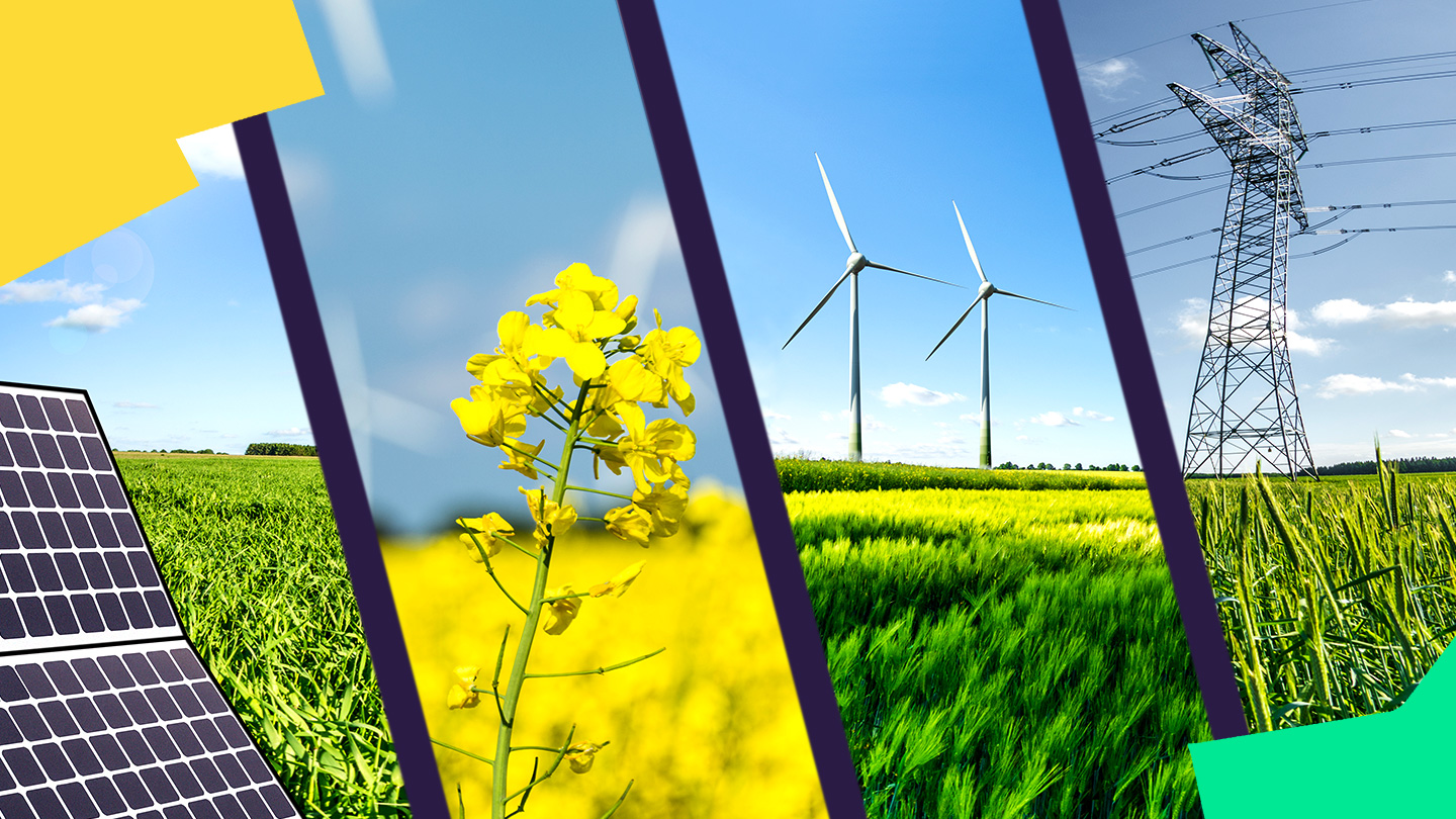 split screen image of solar panels, flowers, wind mills and power lines