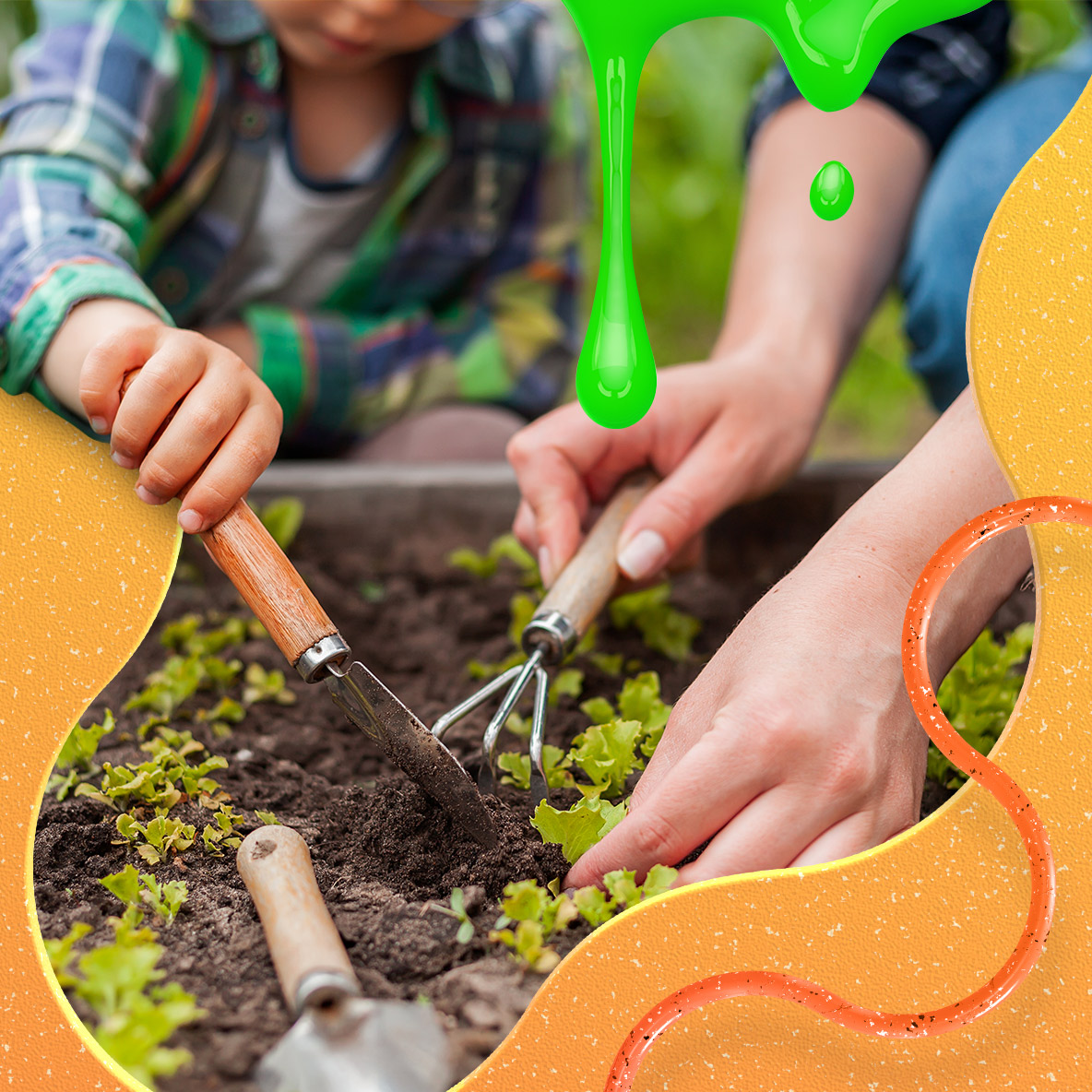 The hands of an adult and the hands of a child working together to plant seeds in a garden.