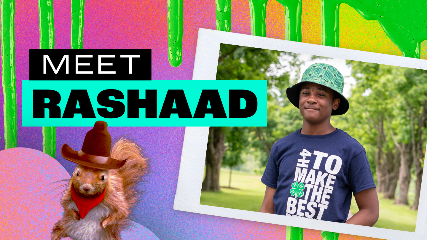 Meet Rashaad
